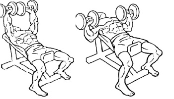 incline-dumbbell-bench-press
